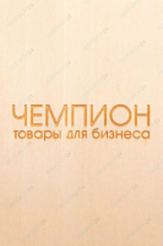 Фанера липа Элитный сорт Е 300х600 мм 4 мм