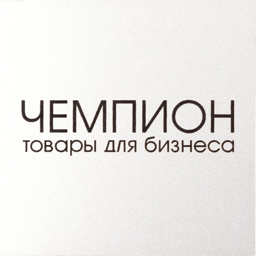 ple847_silver_matt